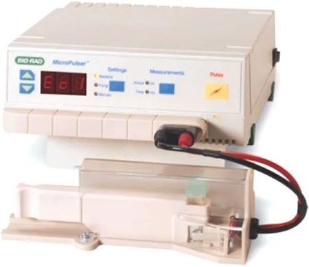 伯樂1652100電轉儀使用方法詳解