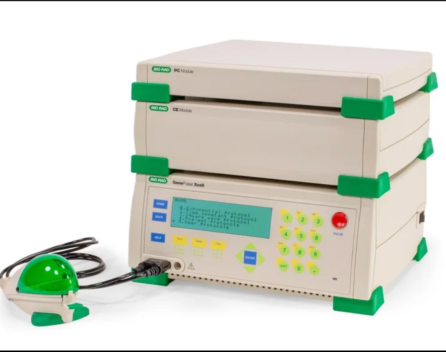 伯樂電穿孔儀系統（型號1652660）詳解