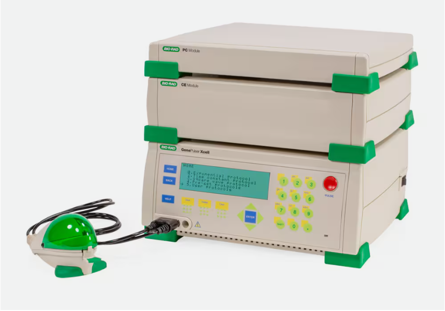 伯樂 Gene Pulser Xcell 電穿孔儀系統（1652660）