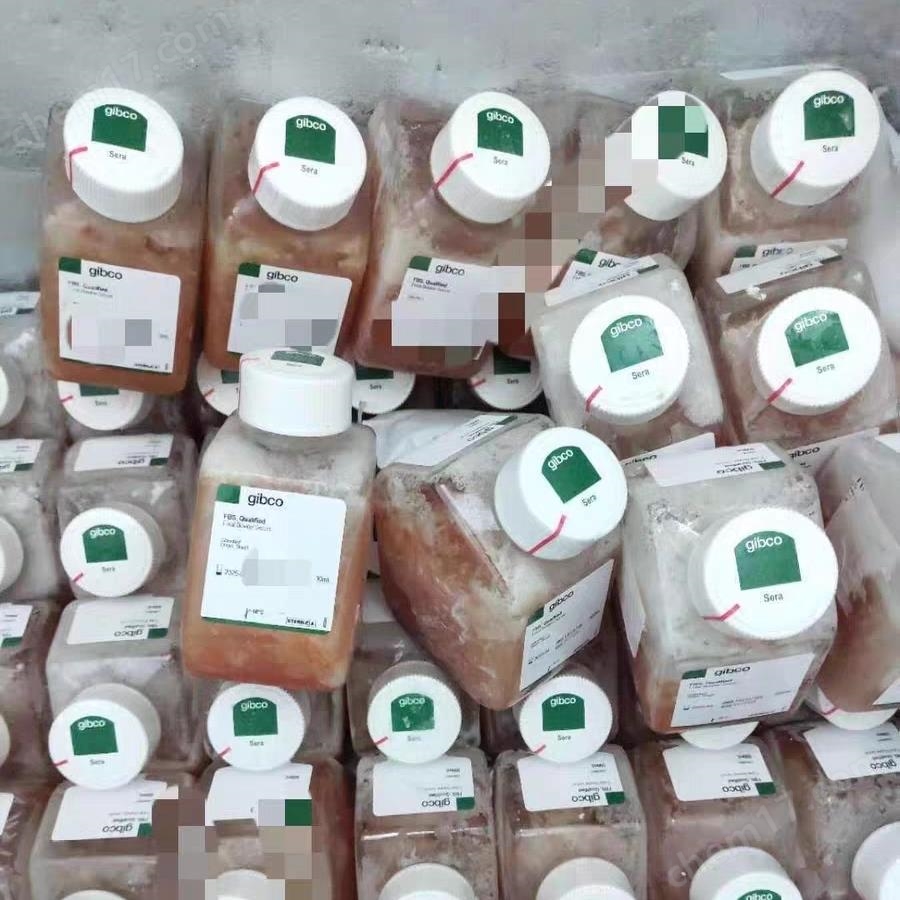 gibco胎牛血清