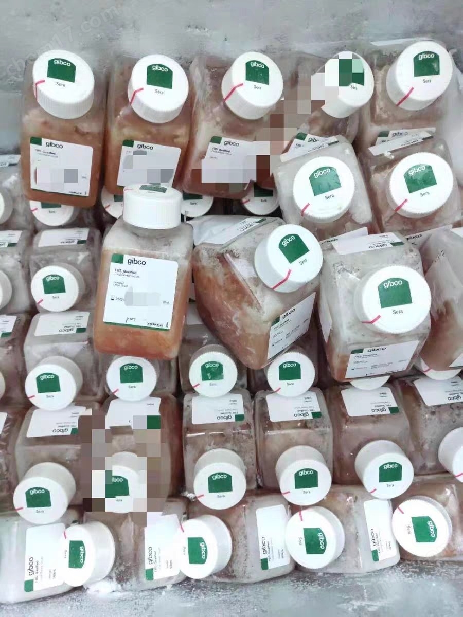 gibco胎牛血清